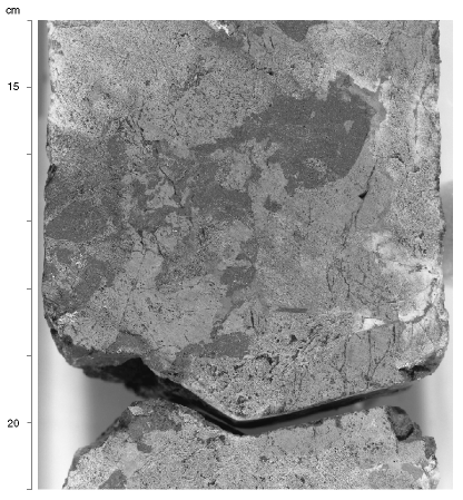 Figure 29