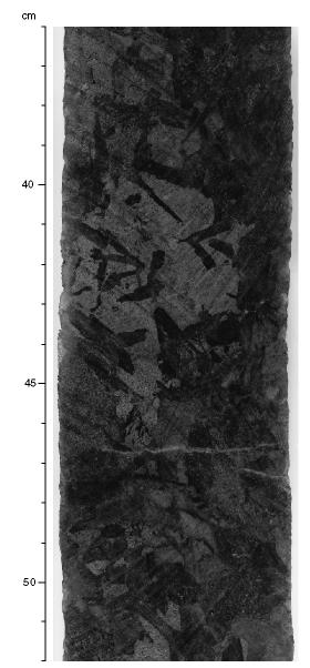 Figure 37