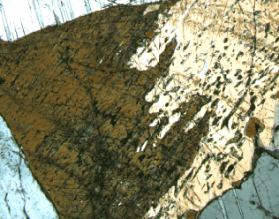 Figure 40