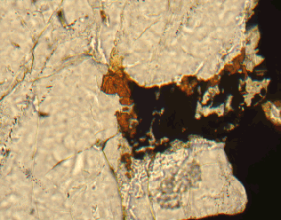 Figure 46