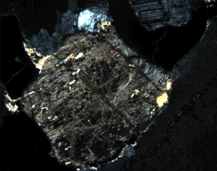 Figure 49