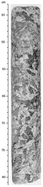 Figure 53