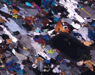 Figure 54