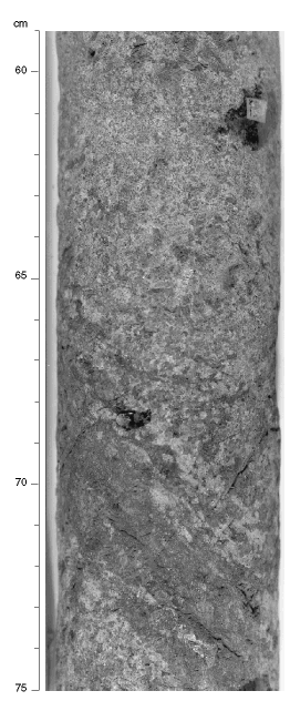 Figure 58