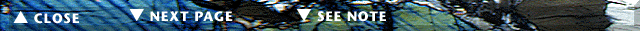 Navigation Bar