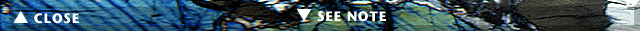 Navigation Bar