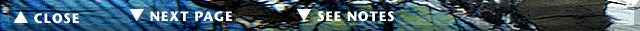 Navigation Bar